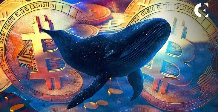 globalsynctv.com - Big Bitcoin holders collected $3 billion worth of BTC in less than a month